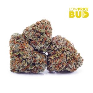 Buy Build Your Own Oz 4 x 7g online Canada