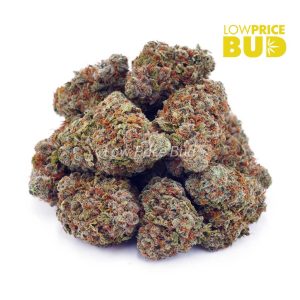 Buy Space Cake (AAA) online Canada