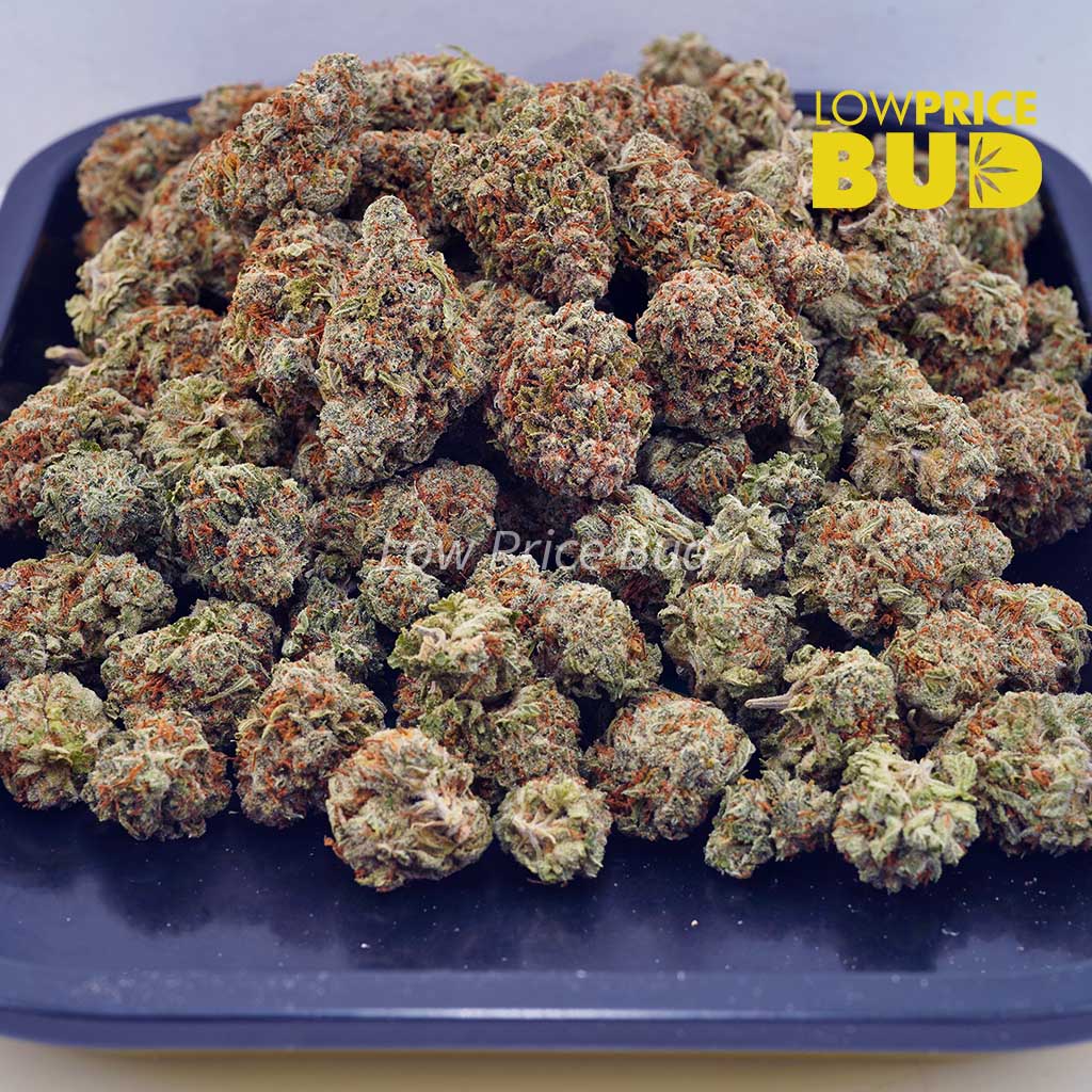 Space Cake (AAA) Buy Space Cake (AAA) online Canada