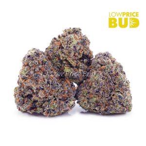 Buy Platinum Cookies (AAA) online Canada