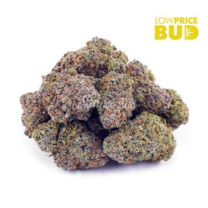 Buy Platinum Cookies (AAA) online Canada