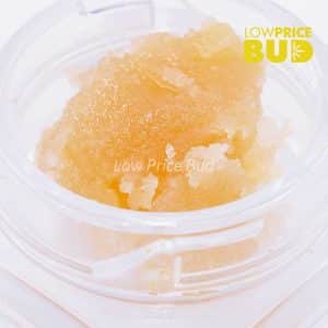 Caviar – Pink Rob Ford Buy Caviar – Pink Rob Ford online Canada