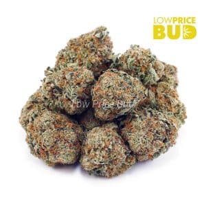 Buy Island Sweet Skunk (AAA) online Canada