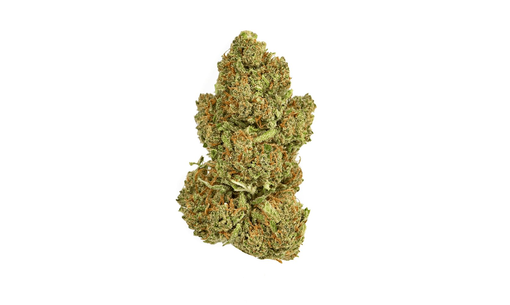 It is time to take the trip to the galaxies unexplored with Northern Lights Strain. Low Price Bud you get the premium bud delivered to your home.