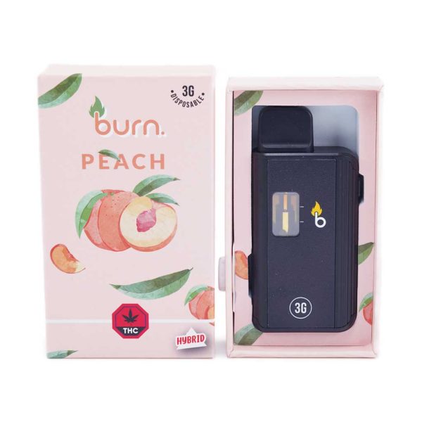 Buy Burn Extracts – Peach 3ml Mega Sized Disposable Pen online Canada
