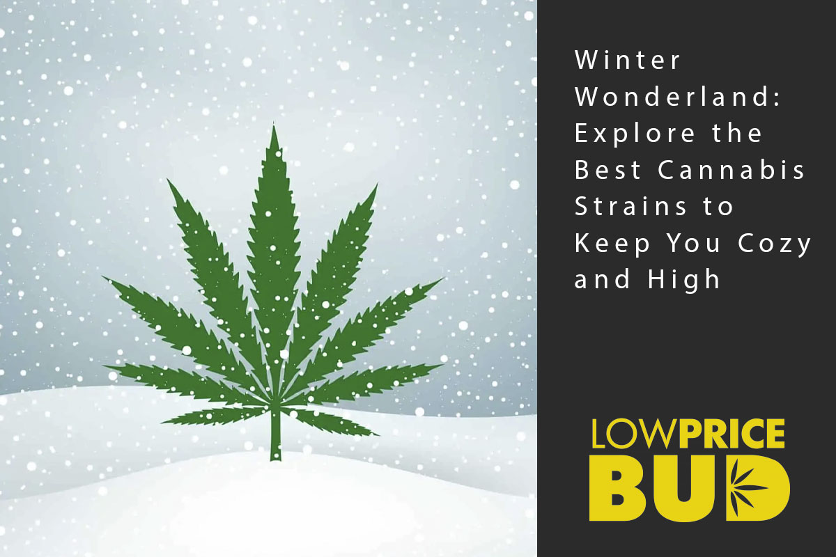 winter strains