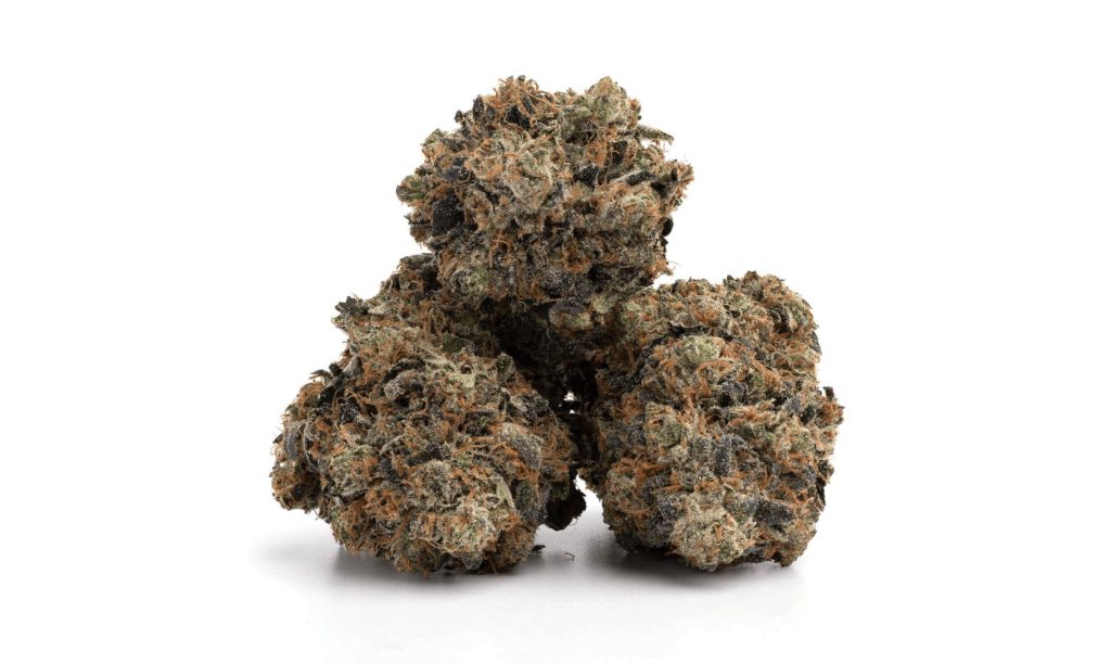 Bruce Banner weed is a strain everyone should buy online. You’ll love its unique strawberry and kush aroma. Oh, and the euphoria it causes is one of a kind!