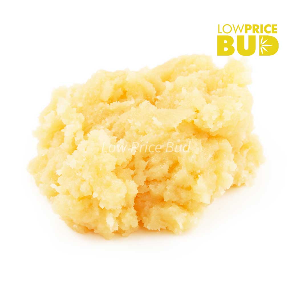 Caviar – Khalifa Kush Buy Caviar – Khalifa Kush online Canada