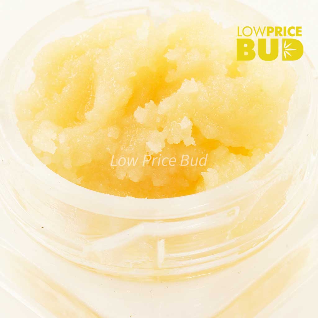 Caviar – Khalifa Kush Buy Caviar – Khalifa Kush online Canada