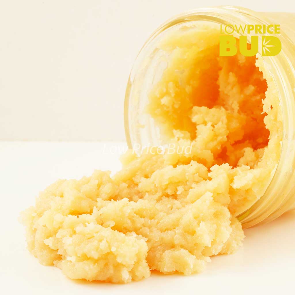 Caviar – Khalifa Kush Buy Caviar – Khalifa Kush online Canada