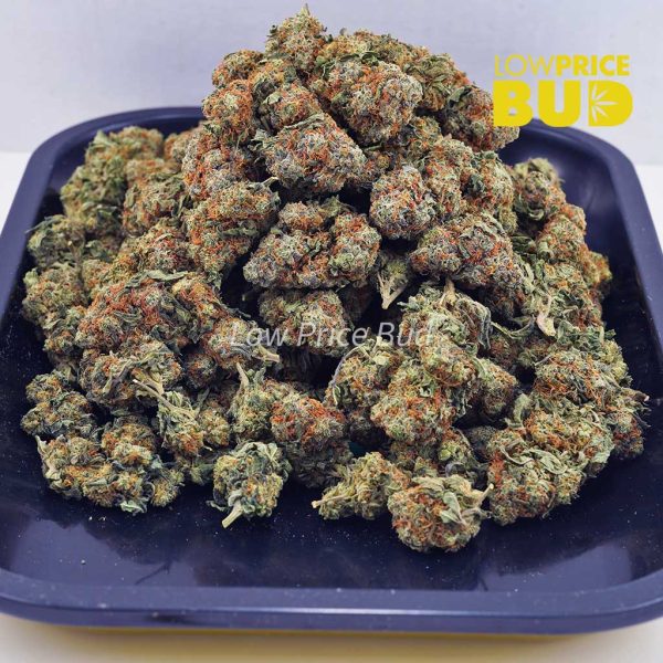 Buy Blue Cheese (AA) online Canada