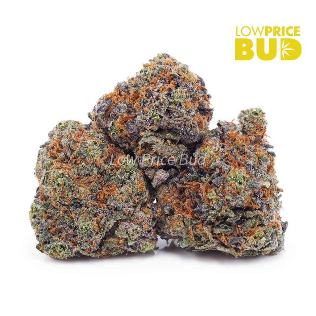 Grape Stomper (AAA) Buy Grape Stomper (AAA) online Canada