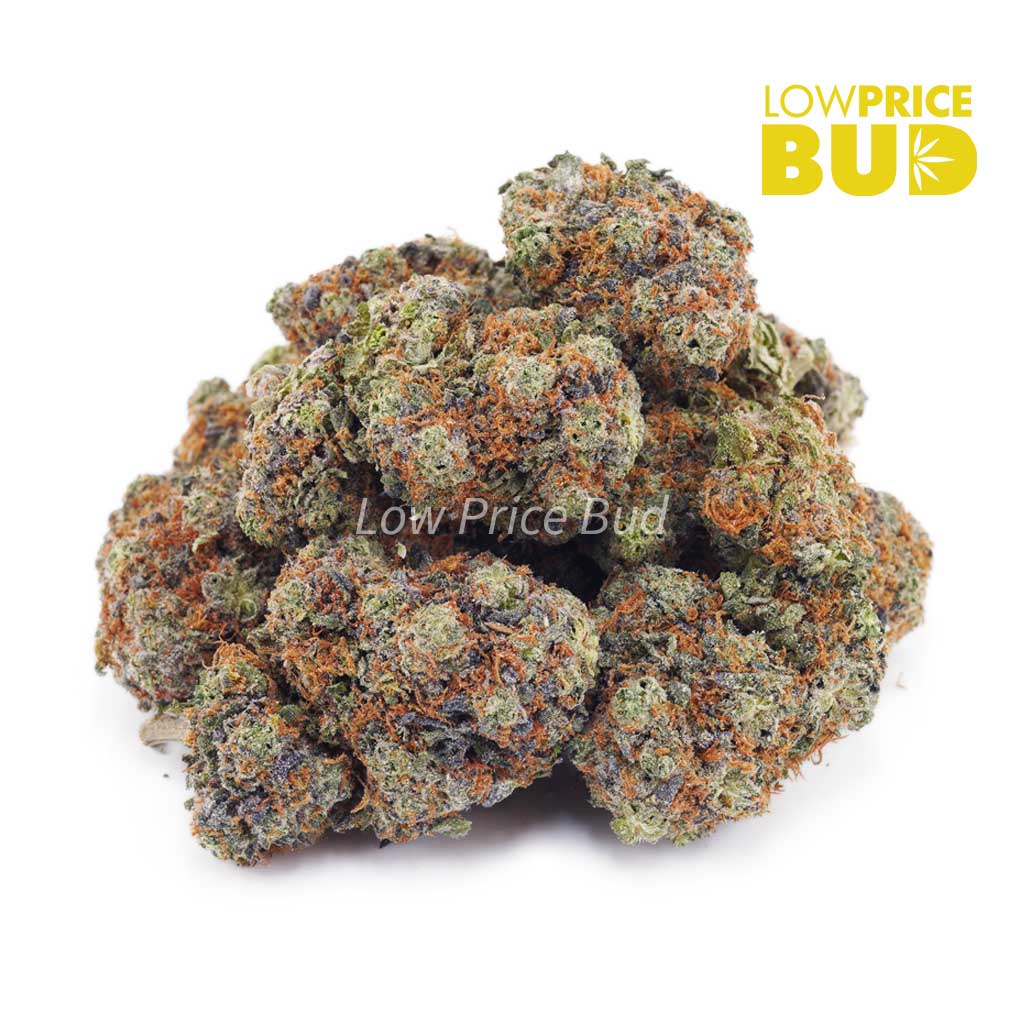 Grape Stomper (AAA) Buy Grape Stomper (AAA) online Canada