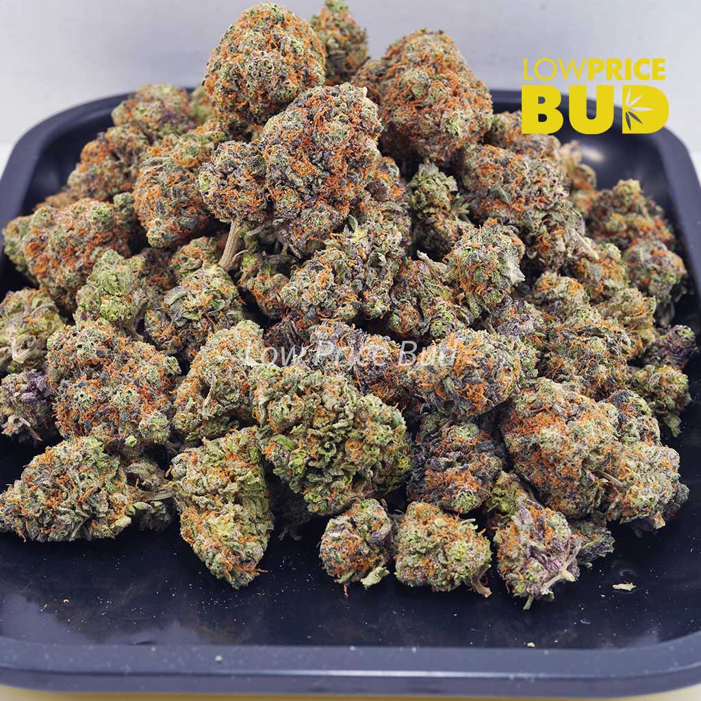 Grape Stomper (AAA) Buy Grape Stomper (AAA) online Canada