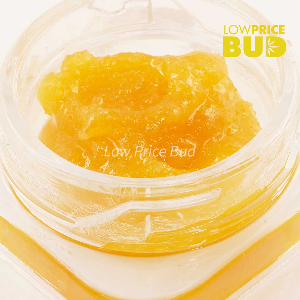 Caviar – Tangerine Dream Buy Caviar – Tangerine Dream online Canada