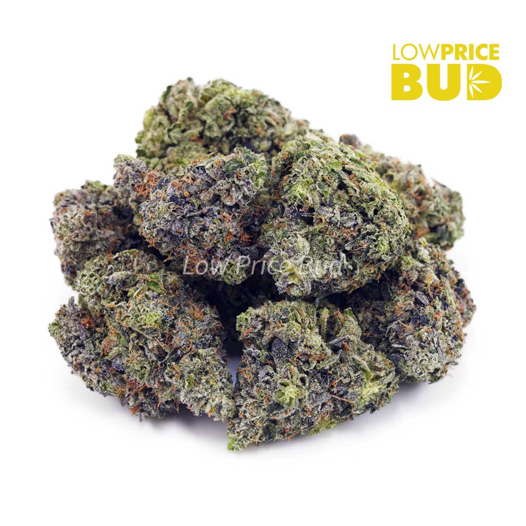 Truffle Cake (AAAA) Buy Truffle Cake (AAAA) online Canada