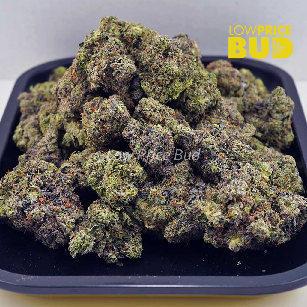 Truffle Cake (AAAA) Buy Truffle Cake (AAAA) online Canada