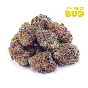 Buy Cookie Monster (AAA) online Canada