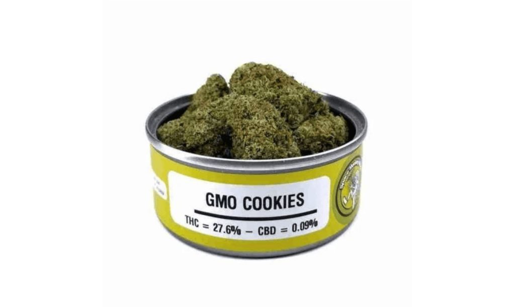 The GMO Cookies strain is a garlicky beast known for alleviating chronic pain, insomnia, and hyperactivity. Discover how you'll feel when high on the GMO strain!