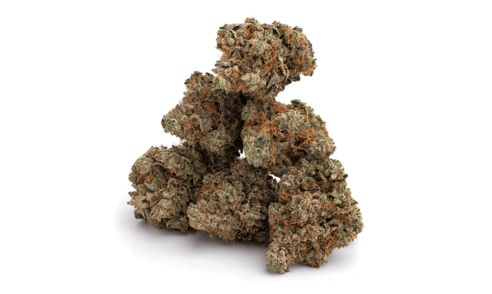 The Ghost Train Haze strain has been named as one of the most potent weed buds on earth in past years. But how does it hold up today? Is it worth buying?