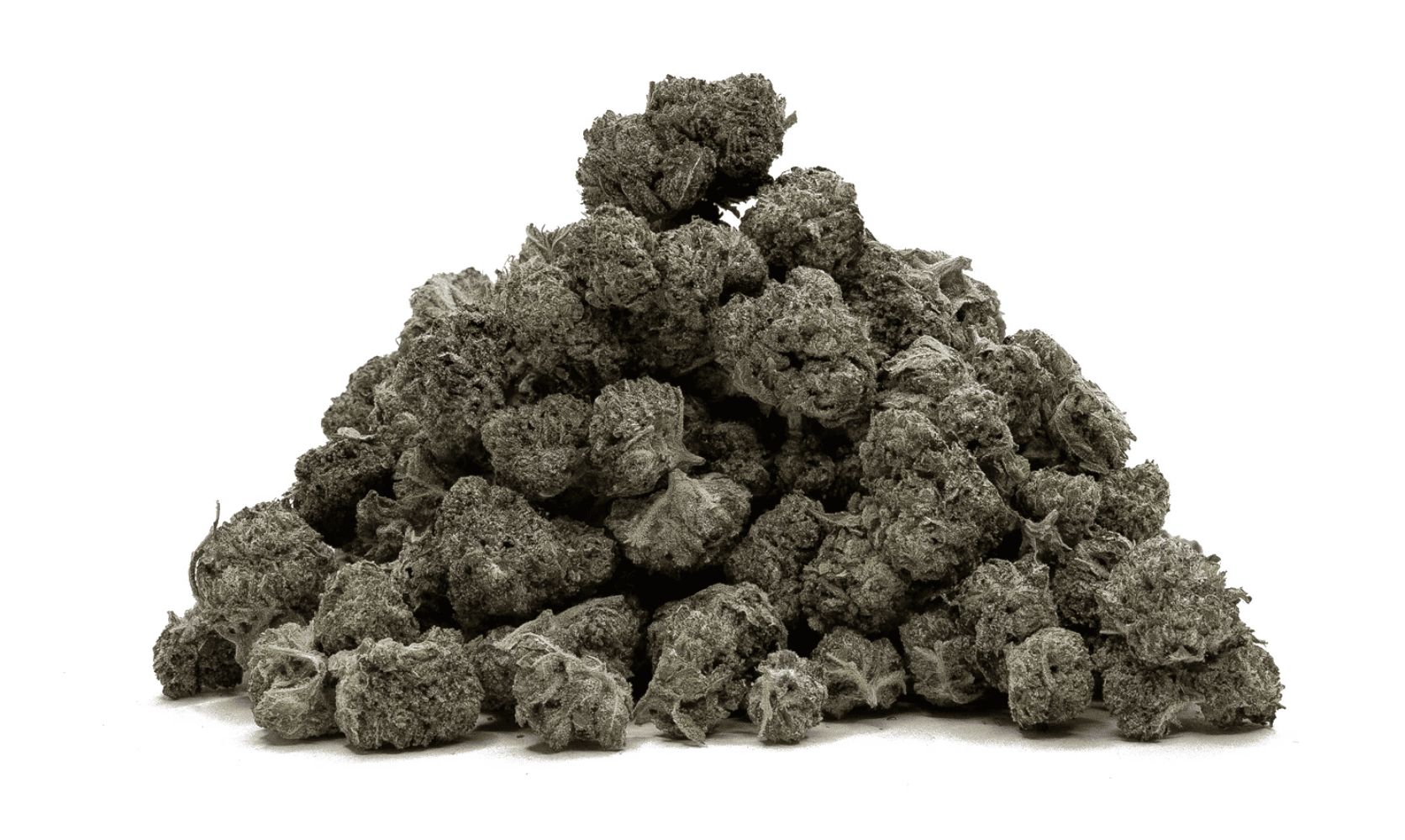 Hindu Kush is an iconic strain with a rich history. A pure indica, this bud will make you feel calm, euphoric, relaxed & mellowed out. Buy Hindu Kush online