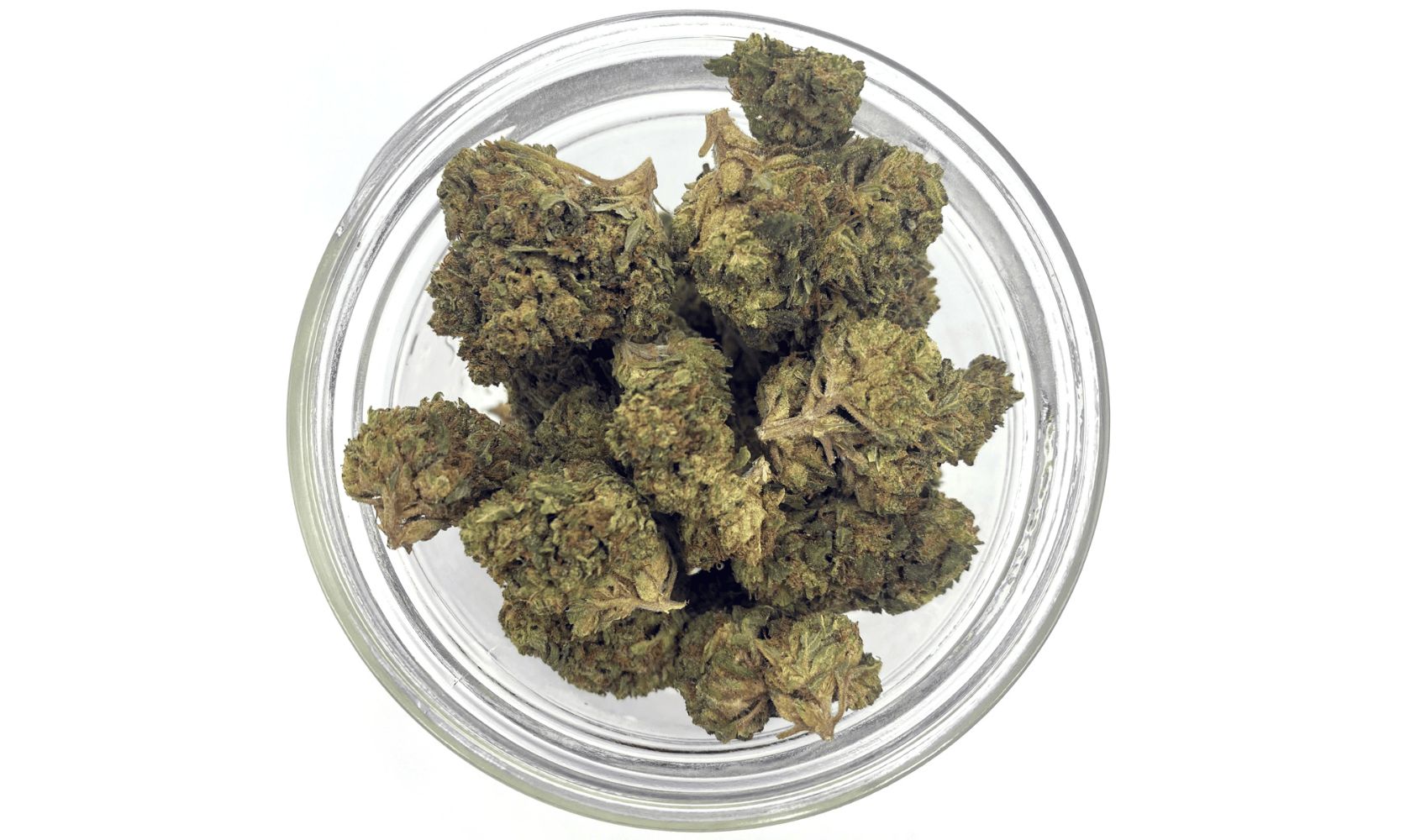 No more bad moods and low energy levels. Try the Sour Diesel strain and become the sunshine on a cloudy day. Click here for the full guide to Sour Diesel!