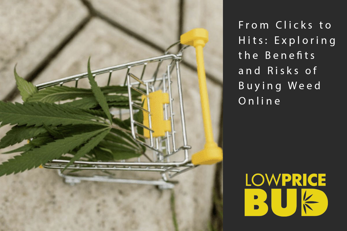 online clicks and hits