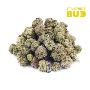 Pink Crack (AAAA) – Popcorn Nugs Buy Pink Crack (AAAA) – Popcorn Nugs online Canada