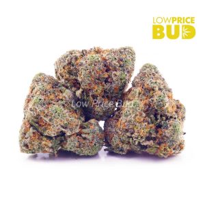 Buy Dragon’s Breath (AAA) online Canada