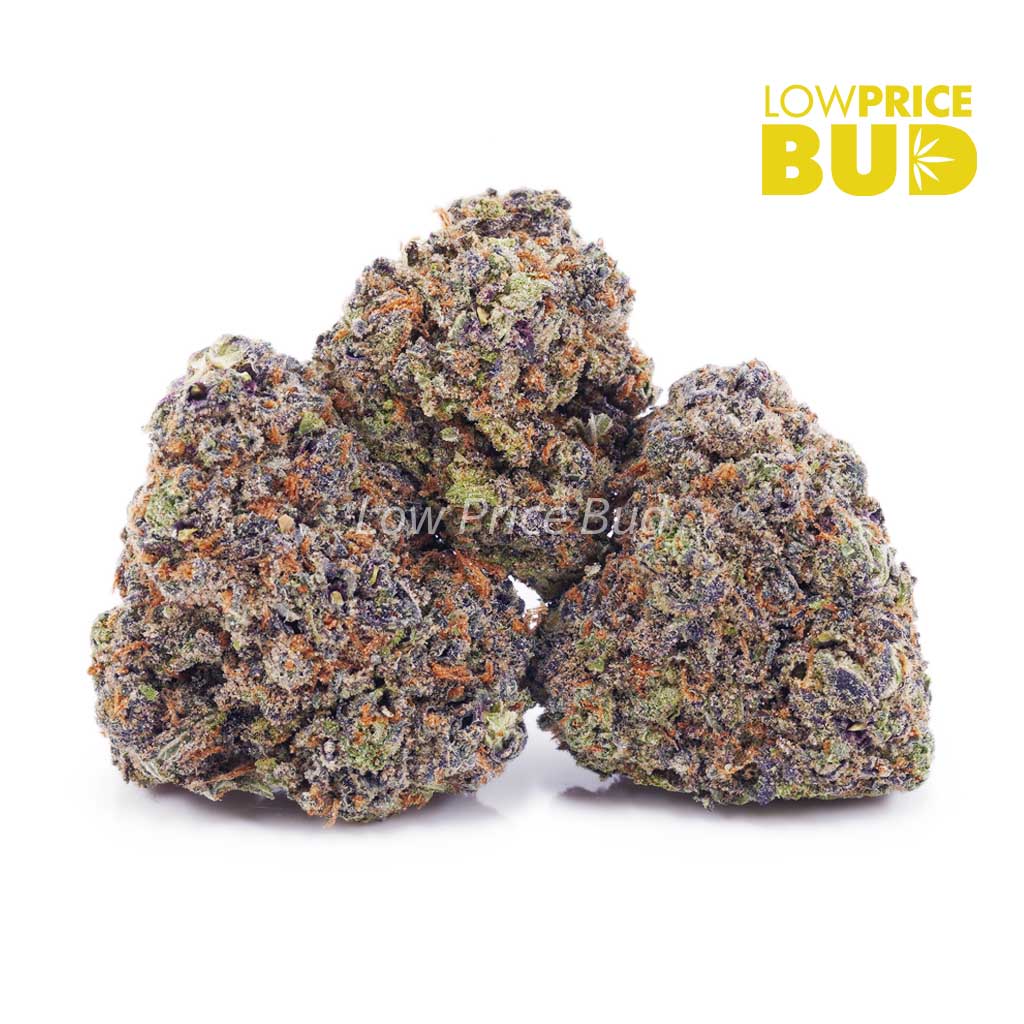Hawaiian Maui Haze (AAA) Buy Hawaiian Maui Haze (AAA) online Canada