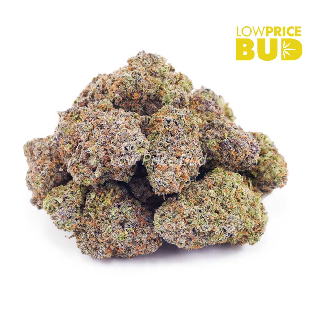 Hawaiian Maui Haze (AAA) Buy Hawaiian Maui Haze (AAA) online Canada