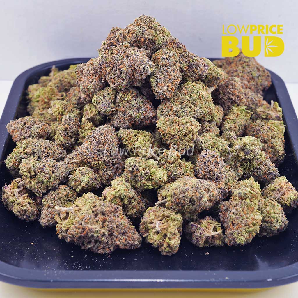 Hawaiian Maui Haze (AAA) Buy Hawaiian Maui Haze (AAA) online Canada