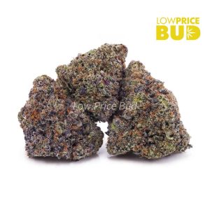 Buy Pink Gas Mask (Craft Cannabis) online Canada