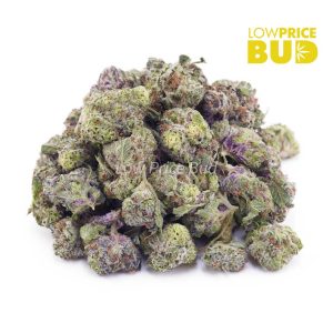 Buy Purple Punch (AAAA) – Popcorn Nugs online Canada