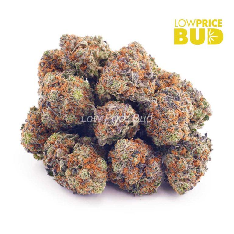 Tangerine Dream (AA) Low Price Bud