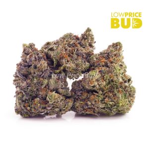 Buy Island Pink Kush (Craft Cannabis) online Canada
