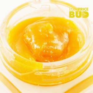 Caviar – Afghani Kush Buy Caviar – Afghani Kush online Canada