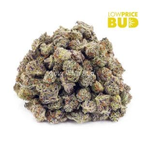 Purple Thunder Fuck (AAAA) – Popcorn Nugs Buy Purple Thunder Fuck (AAAA) – Popcorn Nugs online Canada