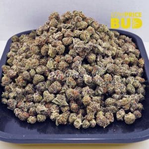 Purple Thunder Fuck (AAAA) – Popcorn Nugs Buy Purple Thunder Fuck (AAAA) – Popcorn Nugs online Canada