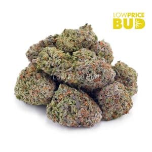 Buy Strawnana (AAA) online Canada