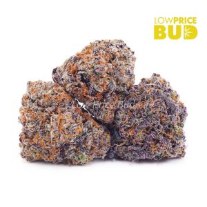 Buy Grape Kush (Craft Cannabis) online Canada
