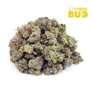 Buy Fruit Punch (AAAA) – Popcorn Nugs online Canada
