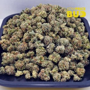 Buy Fruit Punch (AAAA) – Popcorn Nugs online Canada