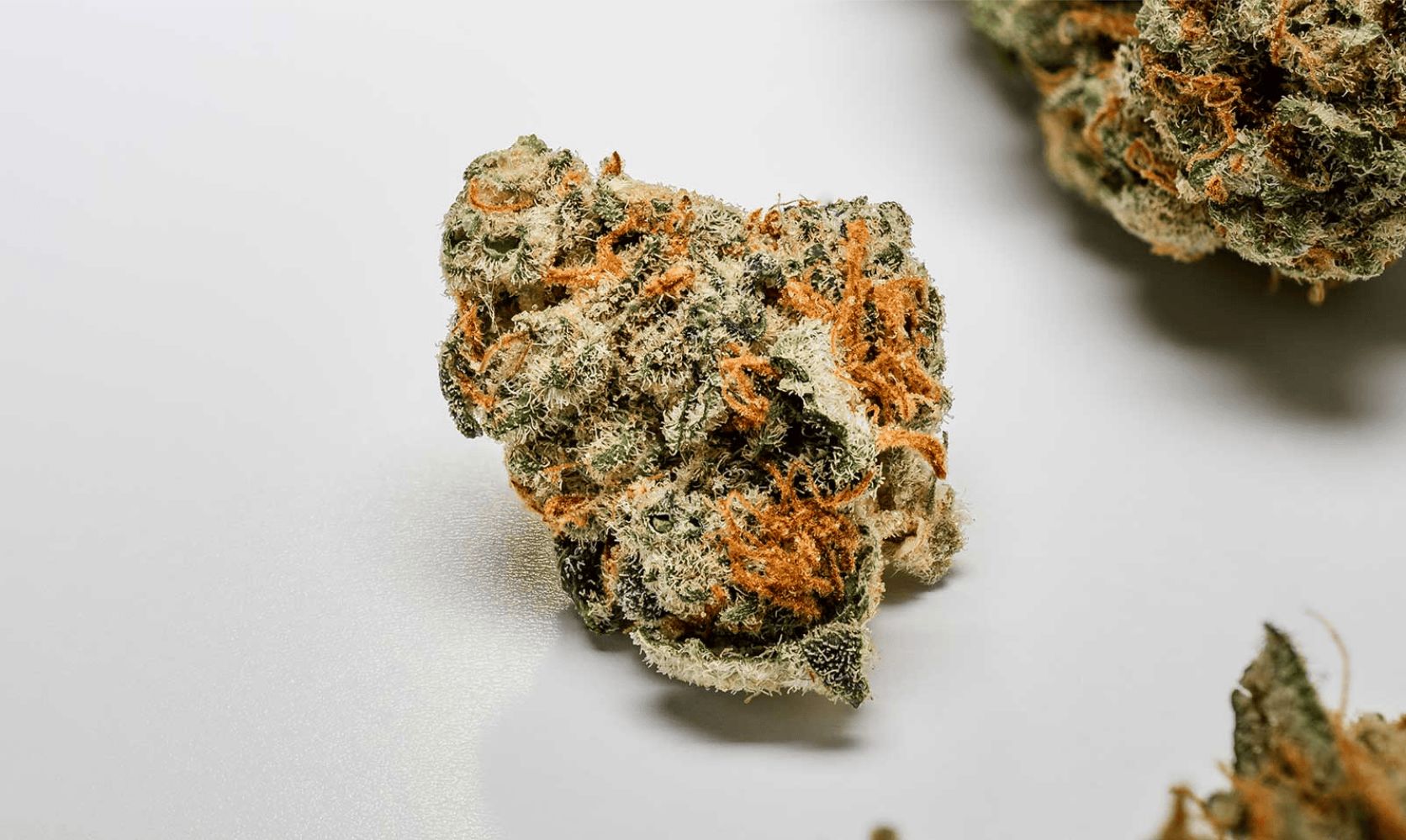 Want to order premium weed online? Discover BC weed and learn why it's so good. Order a pack today at Low Price Bud and enjoy. 