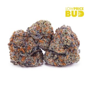 Buy Purple Kush (AAA) online Canada