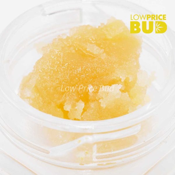 Buy Live Resin – Mike Tyson online Canada