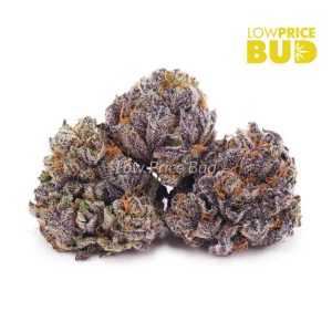 Buy Build Your Own 7g online Canada