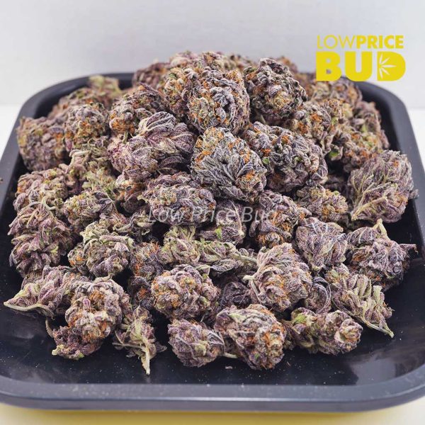 Buy Granddaddy Purple (AAAA) online Canada