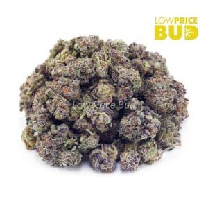 Buy Purple Gasoline (AAAA) – Popcorn Nugs online Canada