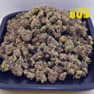 Buy Purple Gasoline (AAAA) – Popcorn Nugs online Canada